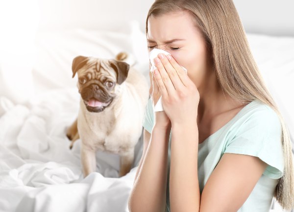 nahod in srbeče oči zaradi alergija na pasje dlake